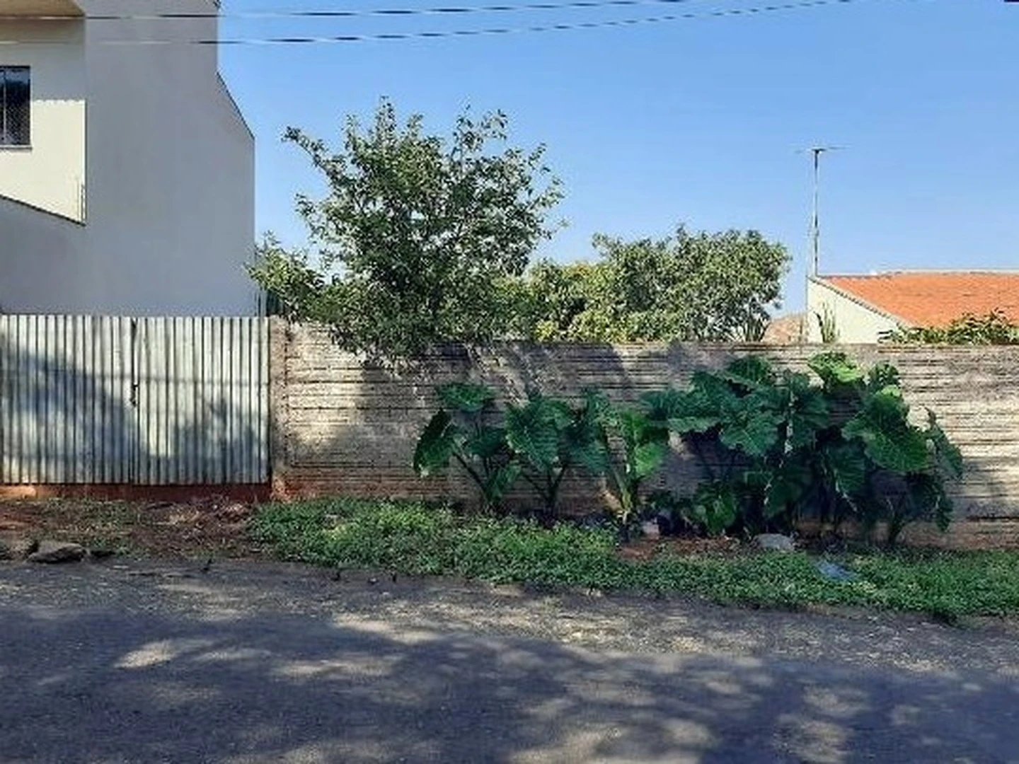 Terreno - Arapongas, PR - foto 1