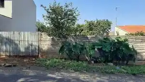 Terreno - Arapongas, PR