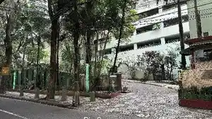 Apartamento - Rio De Janeiro, RJ