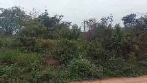 Terreno - Itaborai, RJ