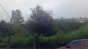 Terreno - Jarinu, SP