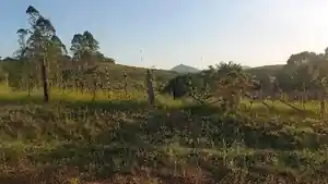 Terreno - Tangua, RJ