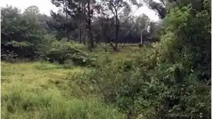 Terreno - Gravatai, RS