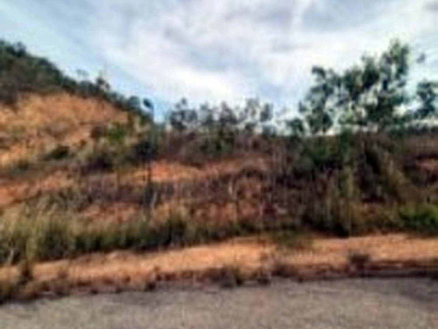 Terreno - Jaboticatubas, MG - foto 1