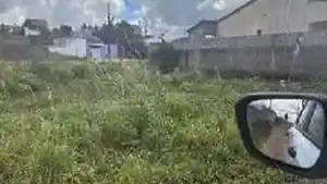 Terreno - Bananeiras, PB