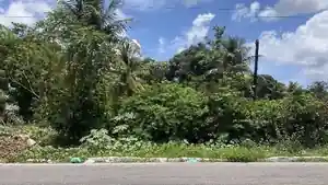 Terreno - Sao Goncalo Do Amarante, RN