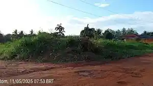 Terreno - Novo Progresso, PA
