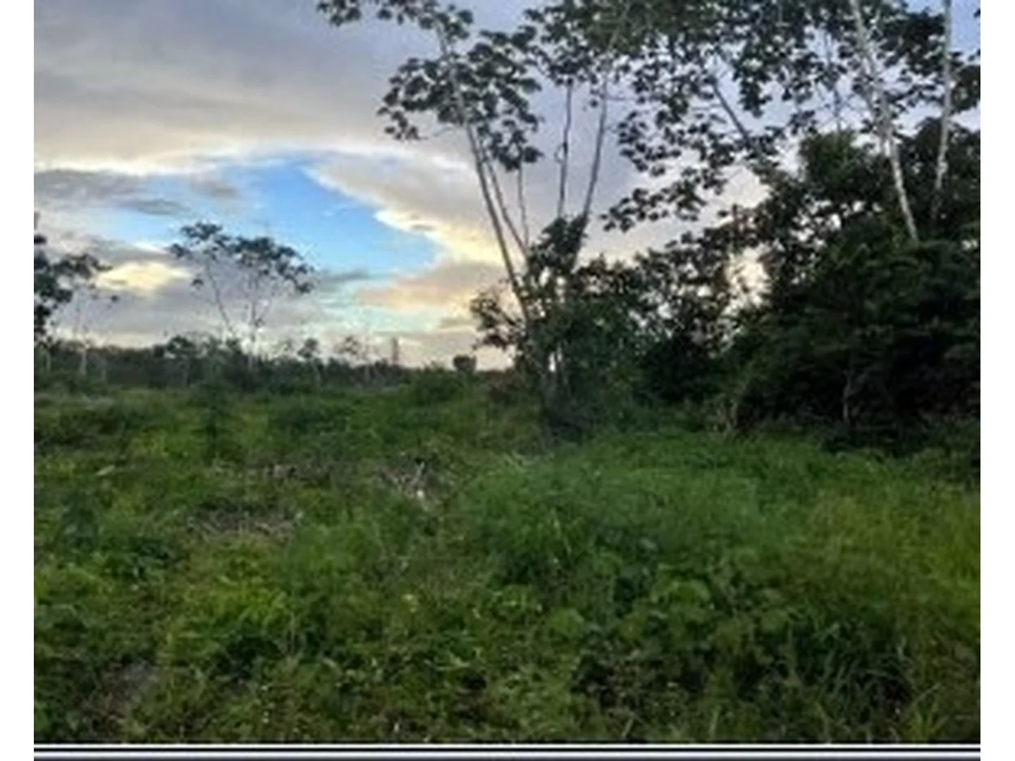 Terreno - Capitao Poco, PA - foto 1