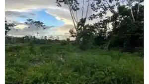 Terreno - Capitao Poco, PA