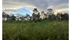 Terreno - Capitao Poco, PA
