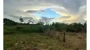 Terreno - Capitao Poco, PA