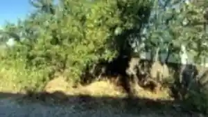 Terreno - Rio Das Ostras, RJ