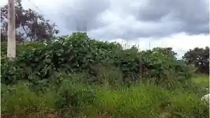 Terreno - Valparaiso De Goias, GO