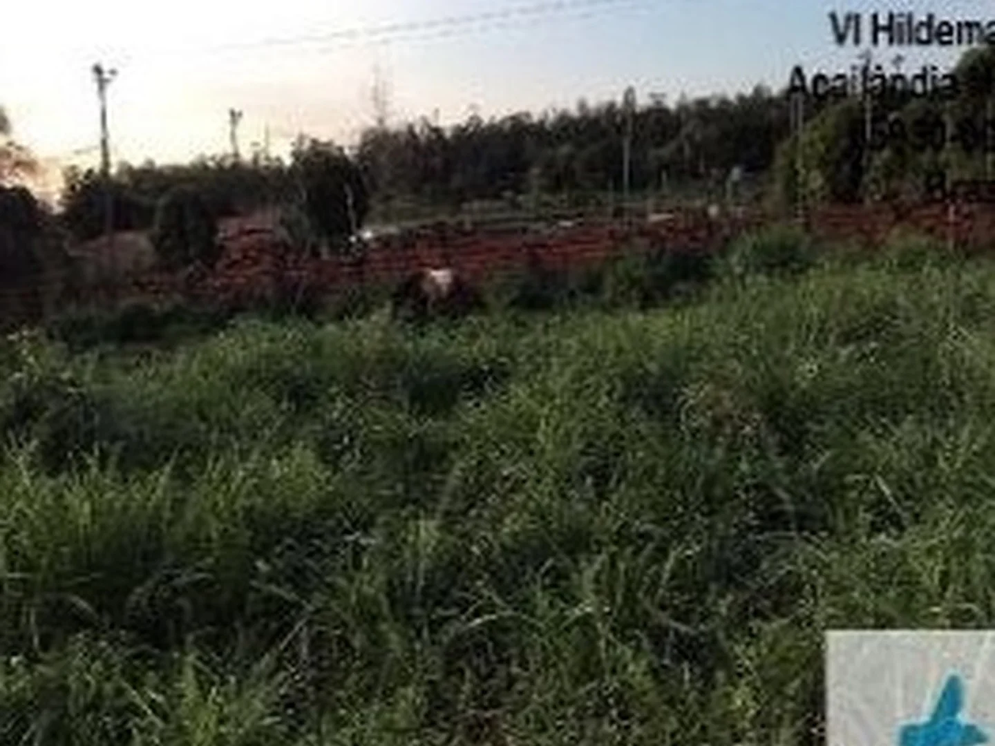 Terreno - Acailandia, MA - foto 1