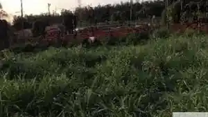 Terreno - Acailandia, MA