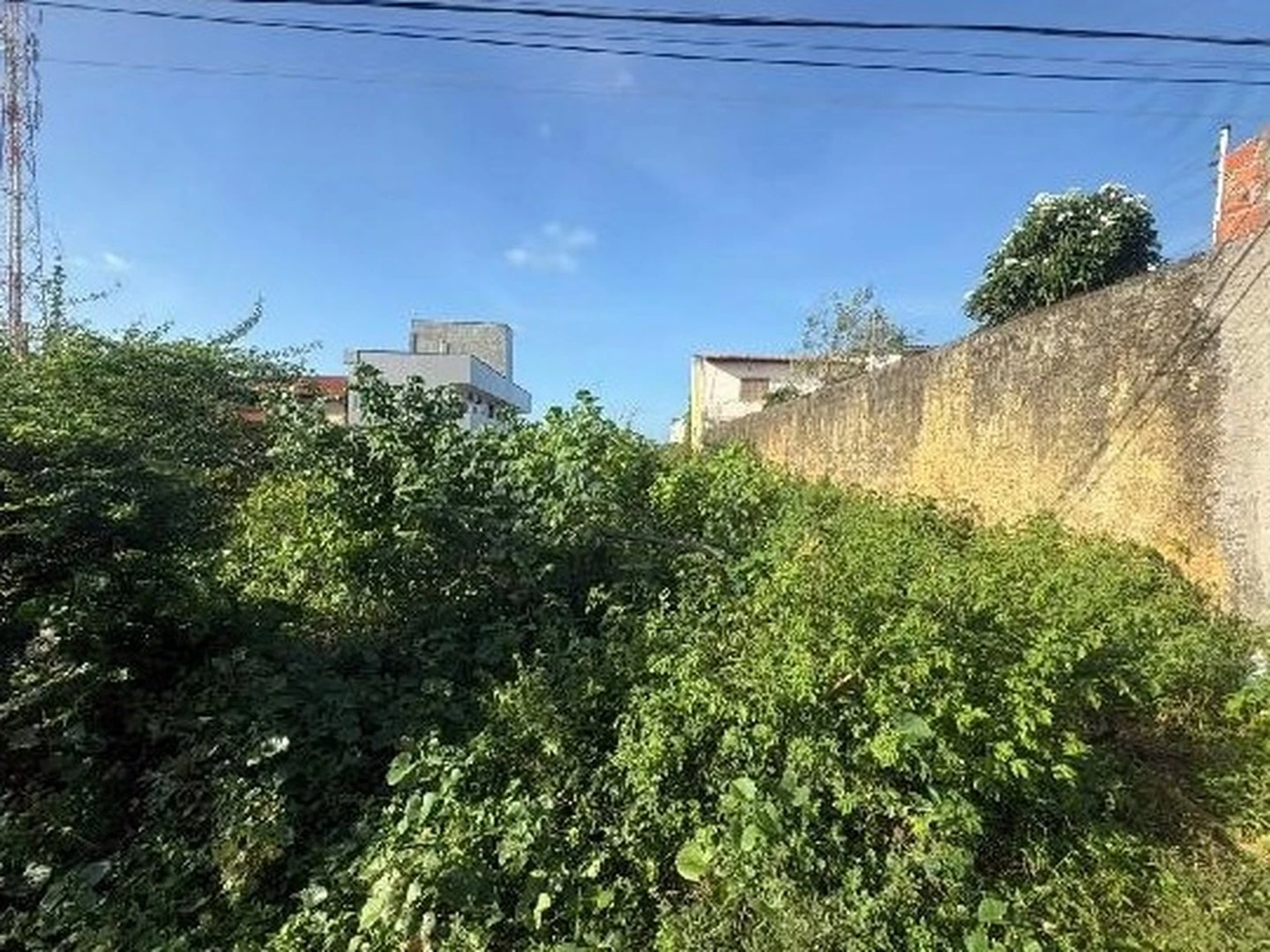 Terreno - Sao Luis, MA - foto 1