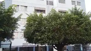 Apartamento - Londrina, PR