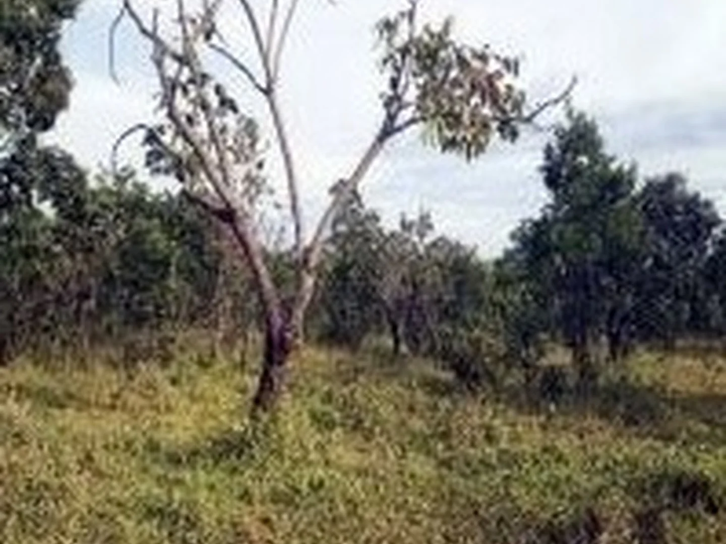 Terreno - Luziania, GO - foto 1