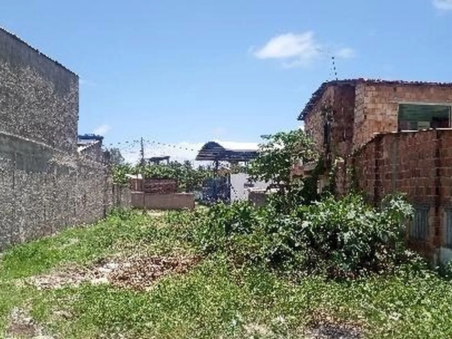 Terreno - Sirinhaem, PE - foto 1