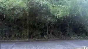 Terreno - Rio De Janeiro, RJ