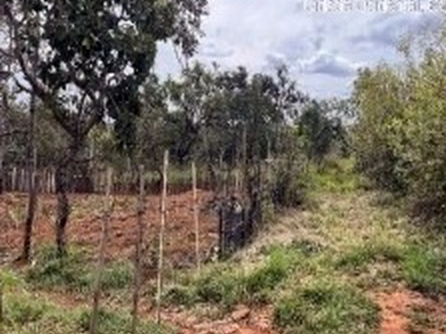 Terreno - Cidade Ocidental, GO - foto 1