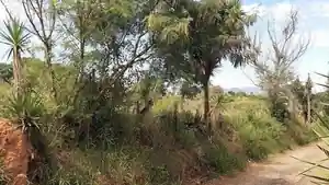 Terreno - Atibaia, SP