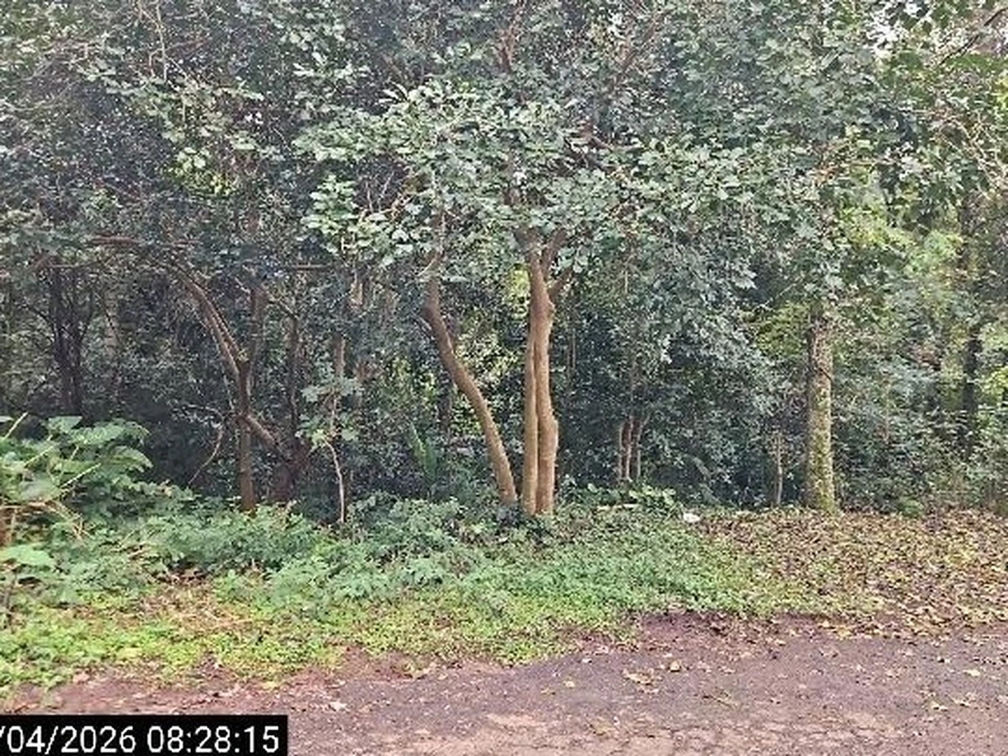 Terreno - Passo Fundo, RS - foto 1