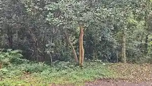 Terreno - Passo Fundo, RS