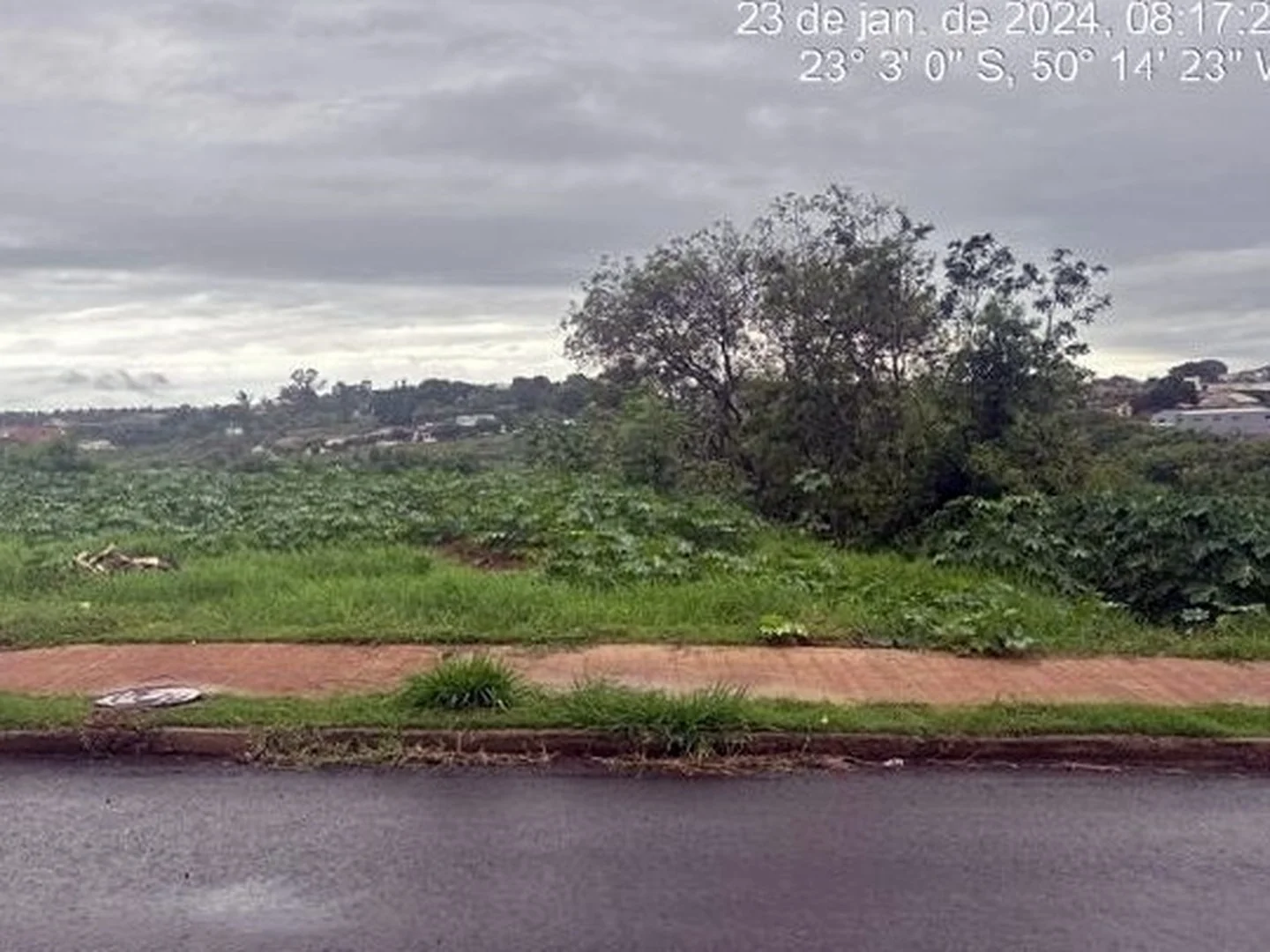 Terreno - Andira, PR - foto 1