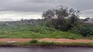Terreno - Andira, PR