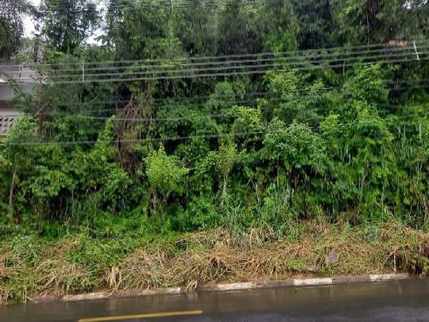 Terreno - Campinas, SP - foto 1