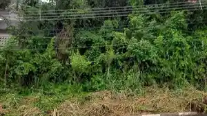 Terreno - Campinas, SP