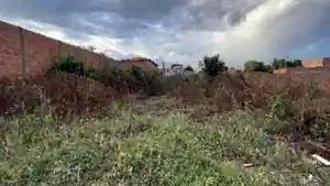 Terreno - Bom Jesus Da Lapa, BA