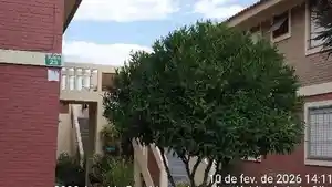 Apartamento - Pelotas, RS