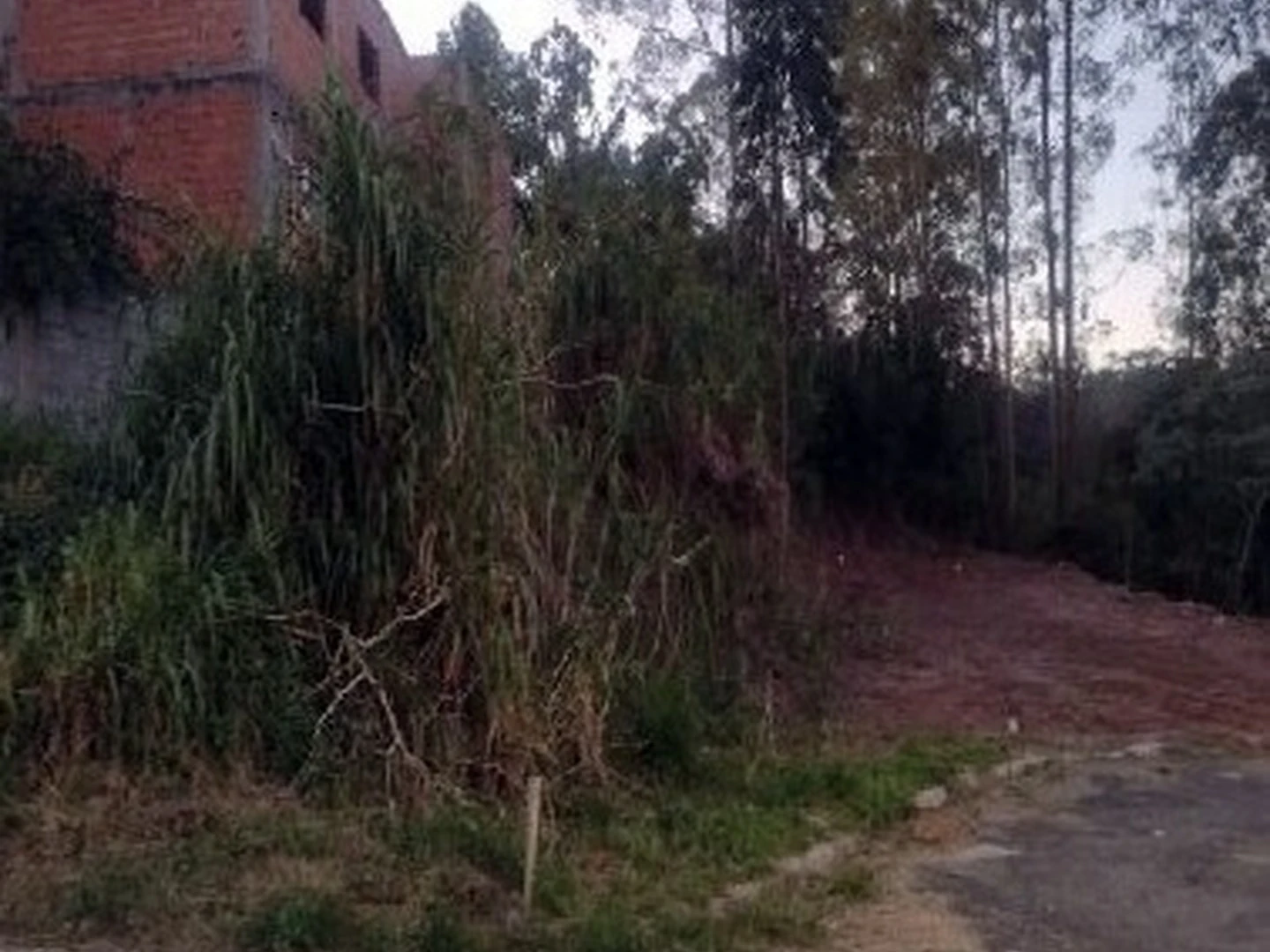 Terreno - Cotia, SP - foto 1