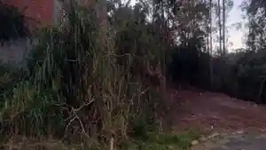Terreno - Cotia, SP