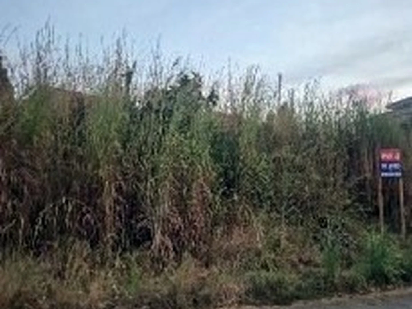 Terreno - Padre Bernardo, GO - foto 1