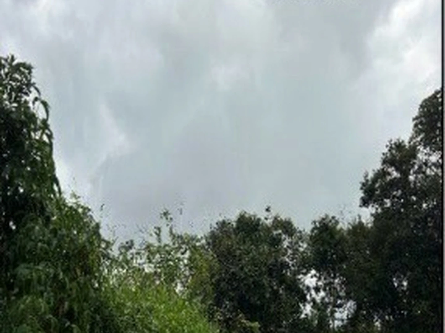 Terreno - Sena Madureira, AC - miniatura 2