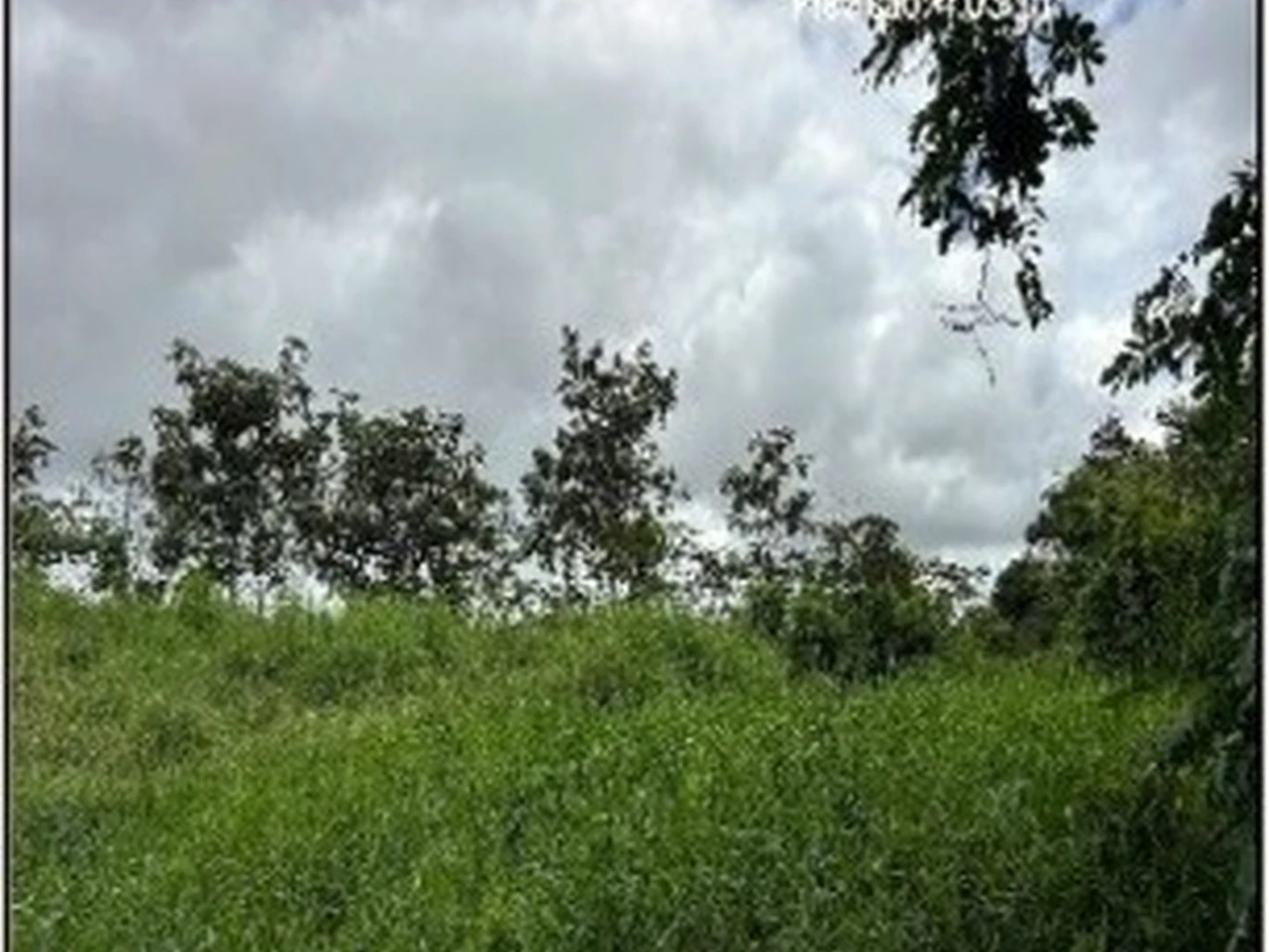 Terreno - Sena Madureira, AC - miniatura 3