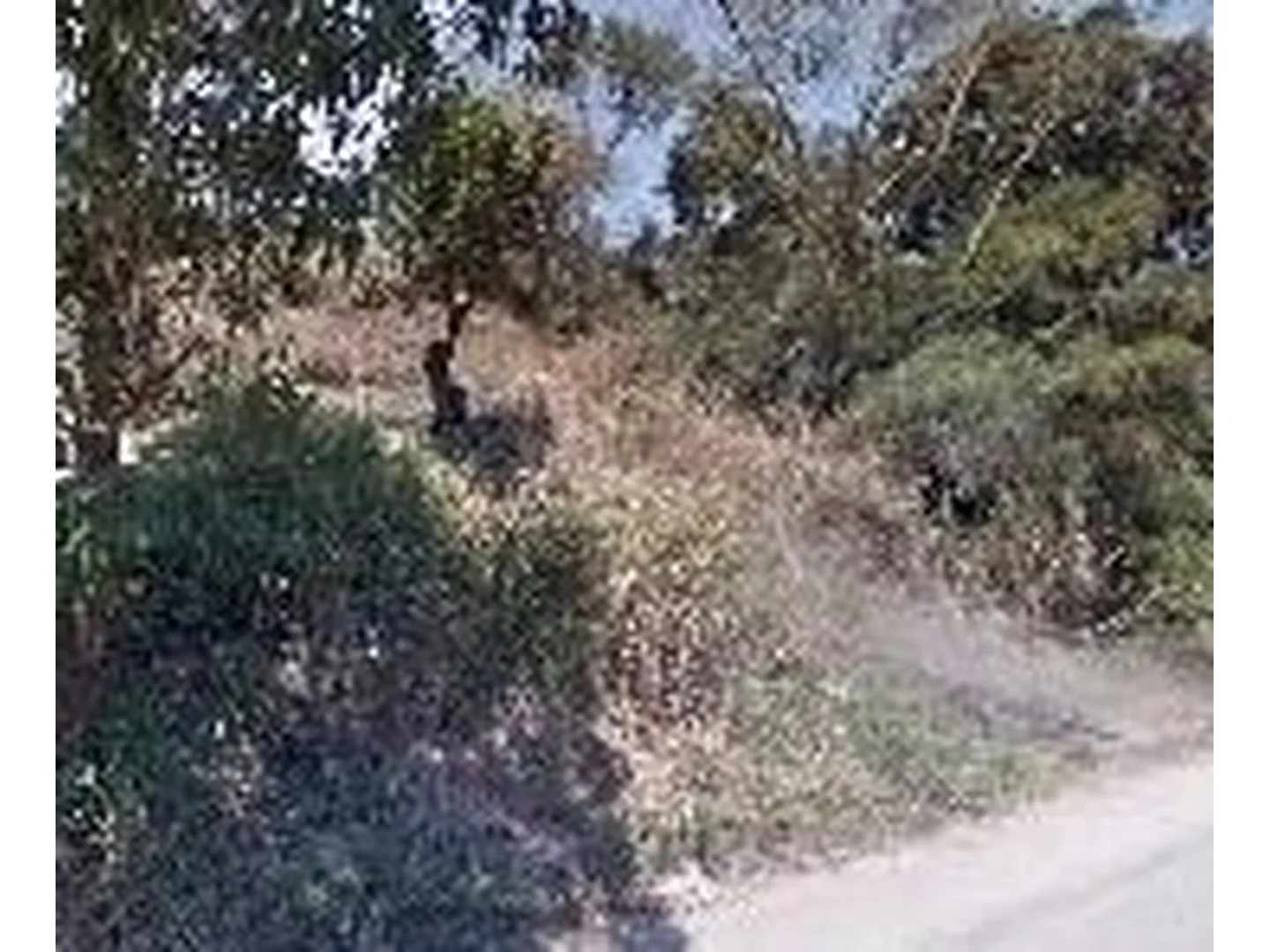 Terreno - Sao Goncalo, RJ - foto 1