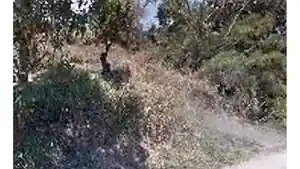 Terreno - Sao Goncalo, RJ