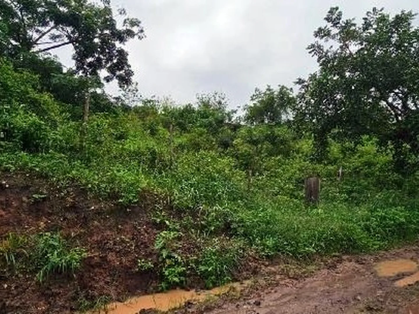Terreno - Lagoa Do Carro, PE - foto 1