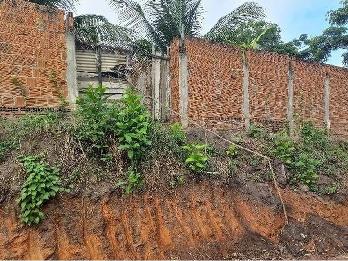 Terreno - Lagoa Do Carro, PE - foto 1