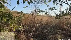 Terreno - Itauba, MT