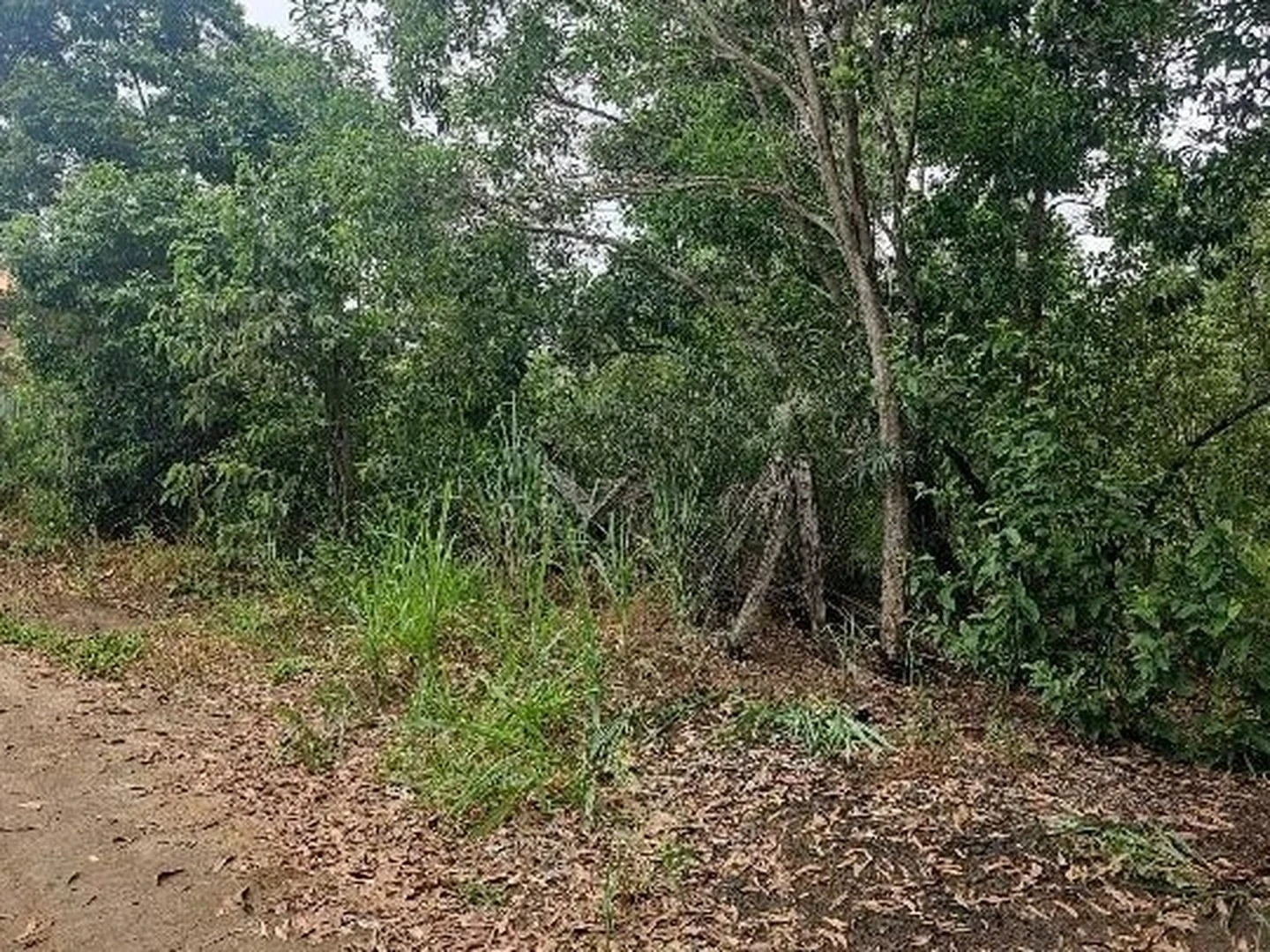 Terreno - Vila Velha, ES - foto 1