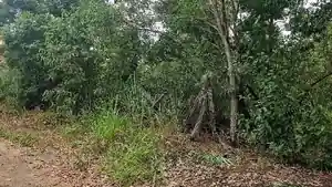 Terreno - Vila Velha, ES