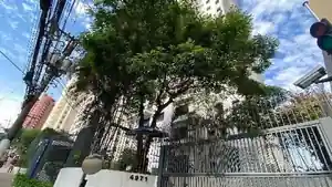 Apartamento - Sao Paulo, SP