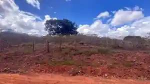 Terreno - Lagoa Do Carro, PE