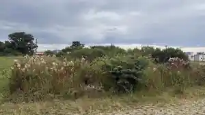 Terreno - Tubarao, SC