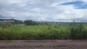 Terreno - Piumhi, MG